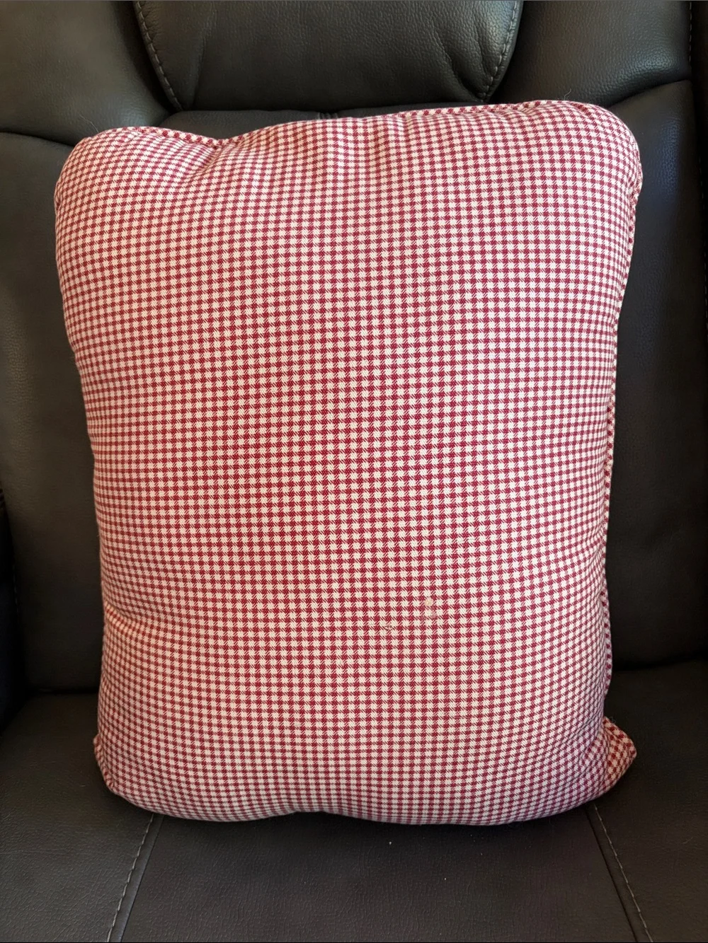 Pillow with Dog & Cat